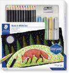 STAEDTLER Színes ceruza készlet, hatszögletű, hegyezővel, dekormarkerrel, STAEDTLER "149 C", 12 különböző (TS61149C)