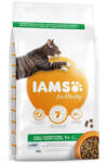Iams IAMS Cat Tengeri Hal 10 kg