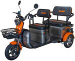 RURIS Scutere si atv Triciclu electric RURIS Pilot 3040G , 2000W (30400TEG25a) - pcone