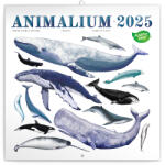 Realsystem Falinaptár képes lemeznaptár 300x300mm, Antique Maps Realsystem 2026 (6097-AN) - veryjet