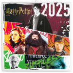 Realsystem Falinaptár képes lemeznaptár 300x300mm, Harry Potter Realsystem 2026 (6096-HP) - veryjet
