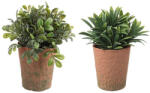 Bizzotto Set 2 ghivece plante artificiale 8x16 cm (0172457X)