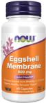 NOW NOW Eggshell Membrane 500 mg, 60 Veg Capsules - fitnesdobavki - 61,51 лв
