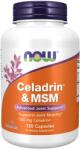 NOW NOW Celadrin & MSM 500mg, 120 Capsules