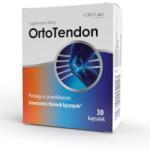 ACTIVLAB Orto Tendon, 30 Capsules