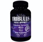 A. R. Max Power Tribulus Max Effect, 90 Capsules