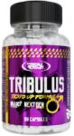 Real Pharm Tribulus, 60 Capsules