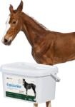 LAB-V EquiJunior - Amestec alimentar complementar pentru mânji, care susține creșterea, dezvoltarea și nutriția adecvată a cailor și poneilor tineri, 2 kg