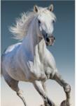  Lovas White polár takaró 100x140cm (BRM008892) - sandori