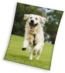  Kutyás Happytail Retriever coral fleece polár takaró 150x200cm (CBX231095KNL) - sandori