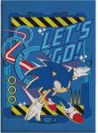  Sonic a sündisznó Let's Go coral fleece takaró 110x150cm (AYM074154) - sandori