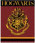  Harry Potter Crest coral fleece polár takaró 120x150cm (EMM5248361)