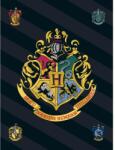  Harry Potter Black polár takaró 100x140cm (BRM007024) - sandori
