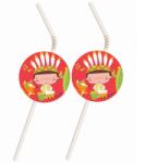  Indian Party, Indián műanyag szívószál 6 db-os (MLG104646) - sandori