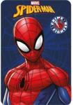  Pókember Crime Fighter Blue polár takaró 100x140cm (FML352365) - sandori