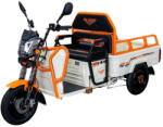 RURIS Scutere si atv Triciclu electric cargo RURIS Pilot 3110A , 2000W (31100TCA25a) - vexio