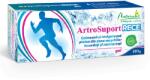 NATURALIS ArtroSuport RECE gel, 100 g, Naturalis