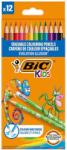 BIC Creioane colorate cu radiera, 12 culori/set, Evolutions Illusion BIC (BC9878681)