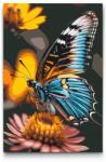  Festés számok szerint - Pillangó a virágon Méret: 20x30cm, Keretezés: Kartonlemezen