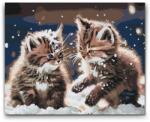  Festés számok szerint - Kiscicák a hóban Méret: 30x40cm, Keretezés: Kartonlemezen