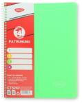 DACO Caiet A4 cu spira, 120 file (60 file aritmetica, 60 file dictando), 4 subiecte, coperta PP, Daco, CT5202 (CT5202)