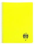 DACO Caiet A5 cu spira, 144 file, artitmetica, coperta PP, Atinge Excelenta, Daco, CT5144AR (CT5144AR)