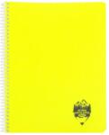 DACO Caiet A4 cu spira, 144 file, aritmetica, coperta PP, Atinge Excelenta, Daco, CT4144AR (CT4144AR)