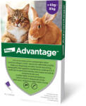 Advantage Advantage Pisica/Iepure 80, > 4 kg, 4 pipete