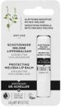 Dr. Scheller Balsam de buze protector cu extract de lemon balm, 4.8g, Dr. Scheller