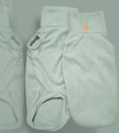  Zsálya tacsipulcsi (HR198179)