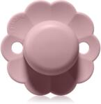 Suavinex Wonder SX Pro Physiological 6-18 m cumi Pale Mauve