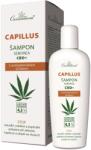 Cannaderm Capillus Seborea CBD+ sampon 150 ml