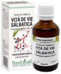 PlantExtrakt Extract din mladite de Vita de Vie Salbatica, 50 ml, Plant Extrakt