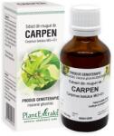PlantExtrakt Extract din muguri de Carpen, 50 ml, Plant Extrakt - springfarma