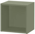 Leziter Boxie nyitott fali szekrény 40x40x27 cm zöld (LBX404027NYZ) - homelux