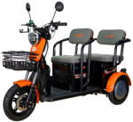 RURIS Scutere si atv Triciclu electric RURIS Pilot 3020N , 2000W (30200TEN25a) - pcone