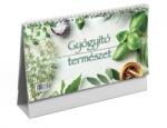 TopTimer Naptár, asztali, álló, TOPTIMER, "Gyógyító természet (NKT058GYU)