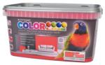 Kittfort Prahasro Colorline falfesték 14 korálpiros 5 L KIFUTÓ (8595030527006)
