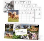 PD Calendar Naptár Csonka asztali pd Állatok 2026