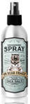 Mr. Bear Family Mr Bear Family Grooming Spray Sea Salt 200 ml (mrbear-sea)