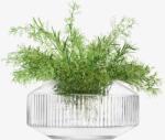 LSA International Széles Rotunda váza, h 14 cm, átlátszó - LSA nemzetközi