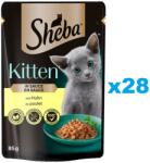 Sheba Kitten tasak 28x85 g nedves teljes értékű cicatáp csirkedarabok mártásban