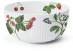 Kähler Bol de servit HAMMERSHOI SUMMER - SUMMER BERRIES 21 cm, alb, porțelan, Kähler (KHL693336) Castron