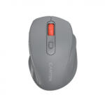 CANYON CNE-CMSW20DG Mouse