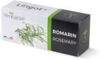 Véritable Lingot rozmaring (VLIN-A10-Rom007)