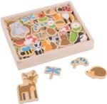 Bigjigs Toys Set magneti din lemn Bigjigs - Padure, in cutie din lemn (BJ275)