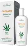 Cannaderm Șampon Capillus pentru scalp gras - 150 ml