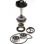 RMS Kit pompa apa Piaggio Beverly 250 06-07 (100110210RM)