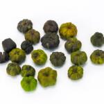  Tökbogyó zöld 20db/csomag - kosarbolt