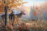 NORIMPEX - Puzzle Pictura cu diamant: Cerb in ceata diminetii 30x40 cm - 1 - 39 piese